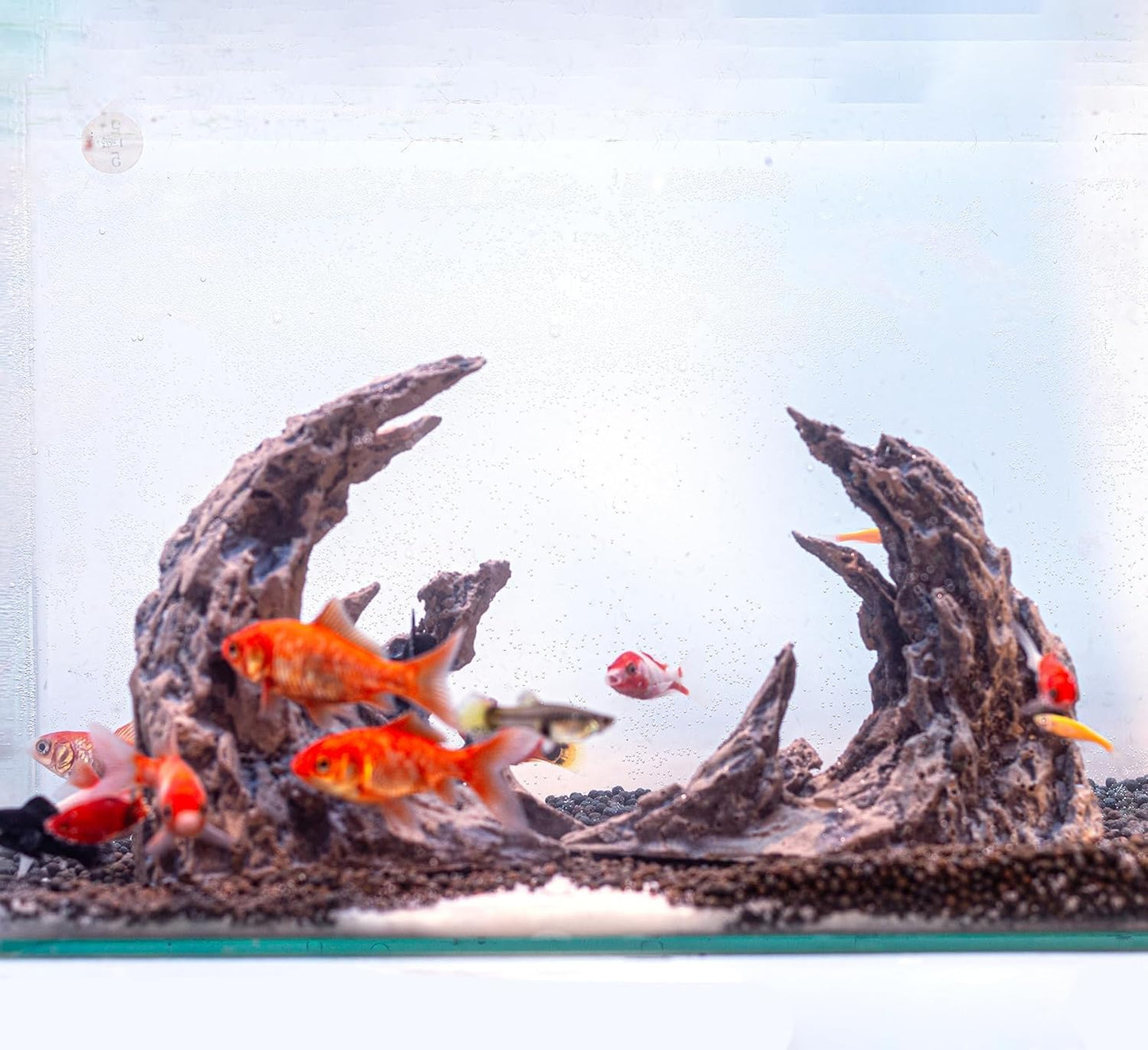 Fish Tank Decor- Jagged Canyon Rock Formation ，Made of Solid Sandstone，Suitable for a Variety of Fish Tank Scenes, DIY Planting Moss, Safe and Non-Toxic