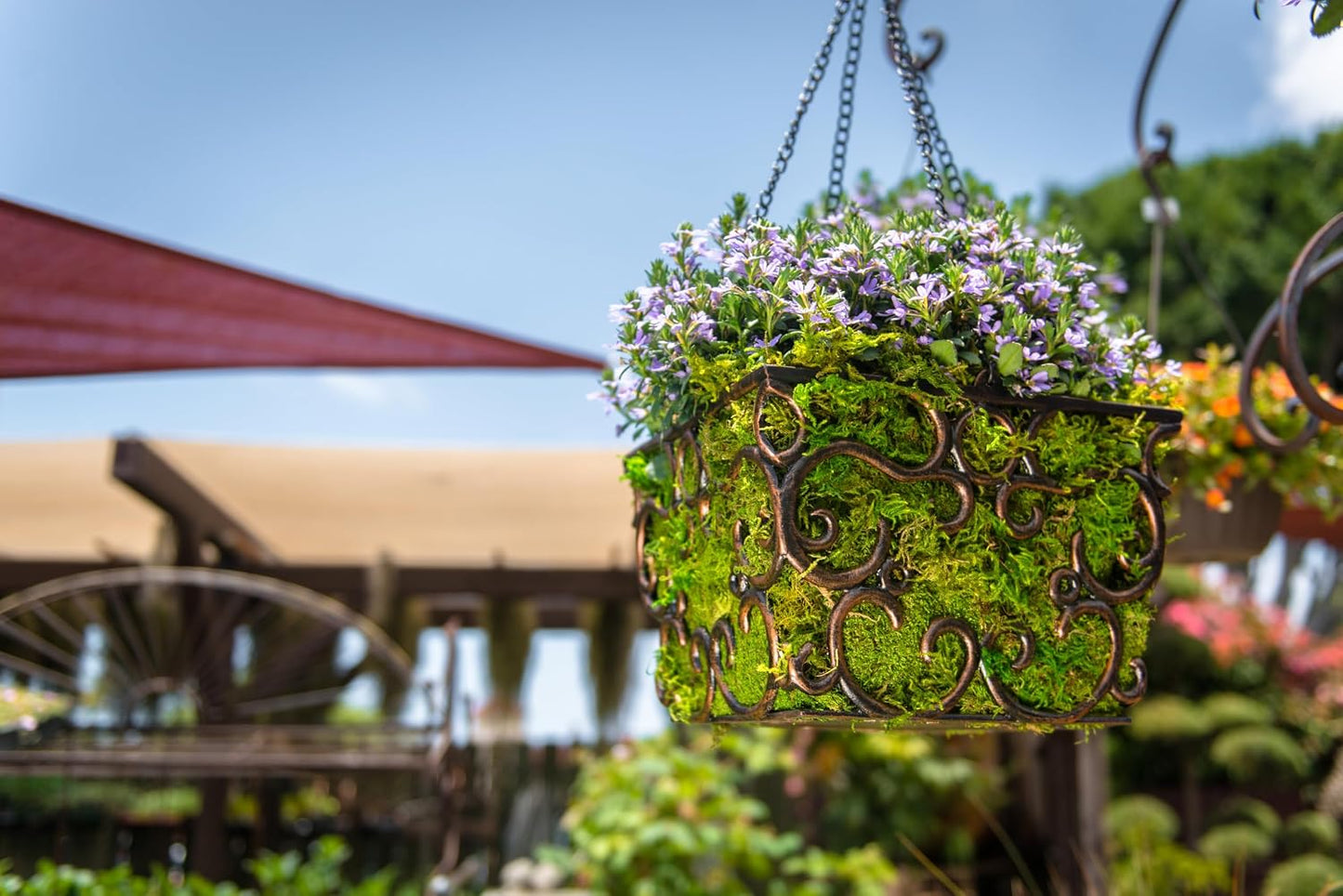 (21485) Sheet Moss – Flat Moss for Plants, Terrariums, Wedding Decor & Crafts, Safe, Non-Toxic, Long-Lasting Green Moss for Indoor Plants, Vivariums & Green Wall Art, 175 Cu. in., Preserved
