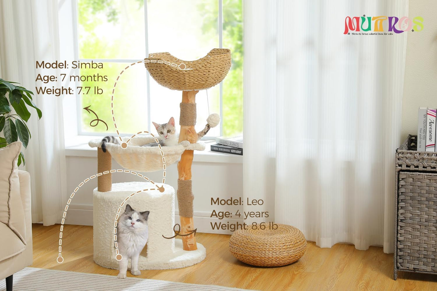 Cactus Cat Tree 40" Cat Tower with Large Metal Carpet Hammock, Cat Scratching Post for Indoor Cats with Condo & Replaceable Toy Ball, Green