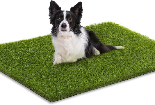 Professional Fake Grass for Dogs, 36" x 24" Artificial Turf
