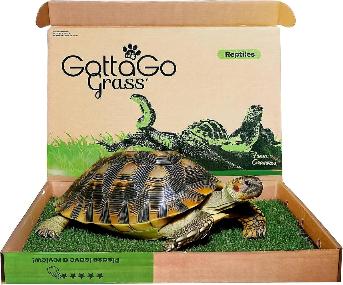 Gotta Go Grass for Reptiles - Natural Grass Bedding Mat & Resting Pad, Real Lawn Patch for Tortoises, Lizards, Snakes and Amphibians, Safe & Absorbent Reptile Substrate, 16" x 24" (Refill)