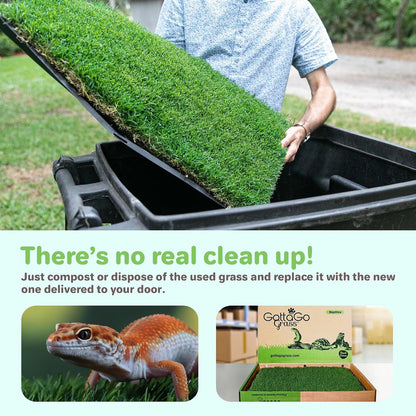 Gotta Go Grass for Reptiles - Natural Grass Bedding Mat & Resting Pad, Real Lawn Patch for Tortoises, Lizards, Snakes and Amphibians, Safe & Absorbent Reptile Substrate, 16" x 24" (Refill)