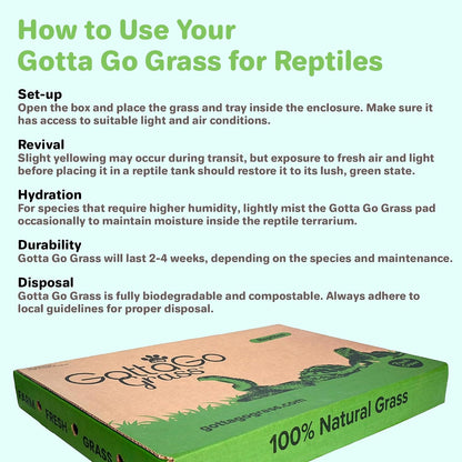 Gotta Go Grass for Reptiles - Natural Grass Bedding Mat & Resting Pad, Real Lawn Patch for Tortoises, Lizards, Snakes and Amphibians, Safe & Absorbent Reptile Substrate, 16" x 24" (Refill)