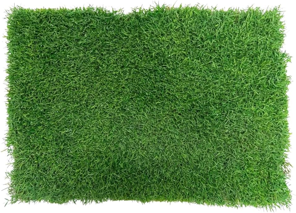 Gotta Go Grass for Reptiles - Natural Grass Bedding Mat & Resting Pad, Real Lawn Patch for Tortoises, Lizards, Snakes and Amphibians, Safe & Absorbent Reptile Substrate, 16" x 24" (Refill)