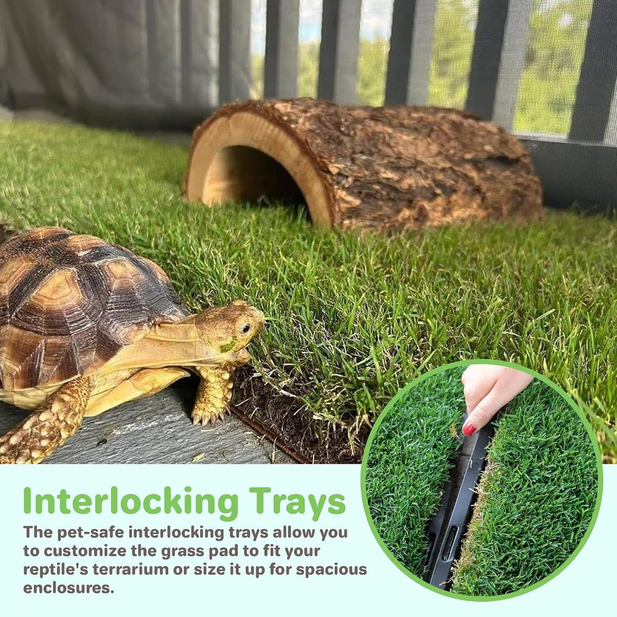 Gotta Go Grass for Reptiles - Natural Grass Bedding Mat & Resting Pad, Real Lawn Patch for Tortoises, Lizards, Snakes and Amphibians, Safe & Absorbent Reptile Substrate, 16" x 24" (Refill)