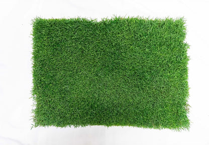 Gotta Go Grass for Reptiles - Natural Grass Bedding Mat & Resting Pad, Real Lawn Patch for Tortoises, Lizards, Snakes and Amphibians, Safe & Absorbent Reptile Substrate, 16" x 24" (Refill)