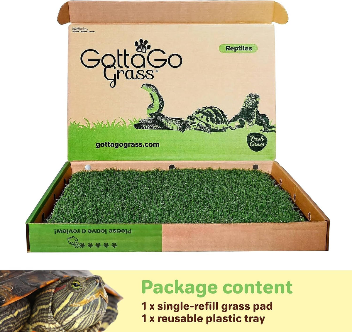 Gotta Go Grass for Reptiles - Natural Grass Bedding Mat & Resting Pad, Real Lawn Patch for Tortoises, Lizards, Snakes and Amphibians, Safe & Absorbent Reptile Substrate, 16" x 24" (Refill)