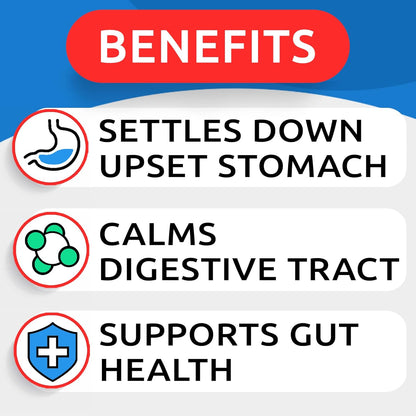 Green Grass Chews - Dog Pee Grass Spot Saver Caused by Dog Urine - Urine Neutralizer for Lawn, Gut Health Probiotics & Enzymes, Lawn Burn from Pee, Grass Burn Spot Chews Rocks
