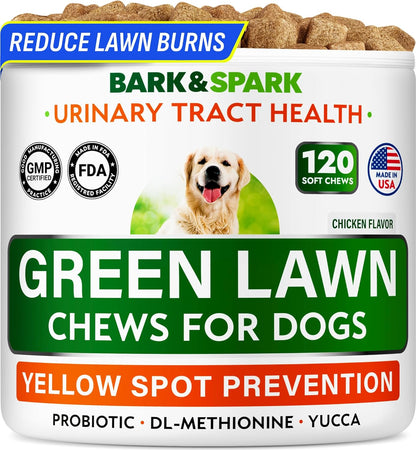 Green Grass Chews - Dog Pee Grass Spot Saver Caused by Dog Urine - Urine Neutralizer for Lawn, Gut Health Probiotics & Enzymes, Lawn Burn from Pee, Grass Burn Spot Chews Rocks