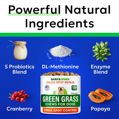 Green Grass Chews - Dog Pee Grass Spot Saver Caused by Dog Urine - Urine Neutralizer for Lawn, Gut Health Probiotics & Enzymes, Lawn Burn from Pee, Grass Burn Spot Chews Rocks