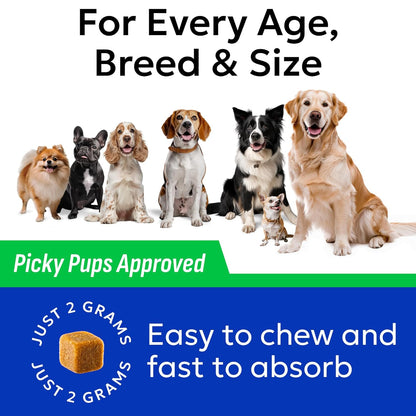 Green Grass Chews - Dog Pee Grass Spot Saver Caused by Dog Urine - Urine Neutralizer for Lawn, Gut Health Probiotics & Enzymes, Lawn Burn from Pee, Grass Burn Spot Chews Rocks