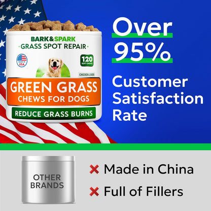 Green Grass Chews - Dog Pee Grass Spot Saver Caused by Dog Urine - Urine Neutralizer for Lawn, Gut Health Probiotics & Enzymes, Lawn Burn from Pee, Grass Burn Spot Chews Rocks
