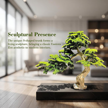 Large Artificial Bonsai Tree - Faux Plants Indoor Podocarpus Tree, Realistic Guest-Greeting Pine Decor for Home Office, Living Room, Farmhouse Zen Decor (5FT)