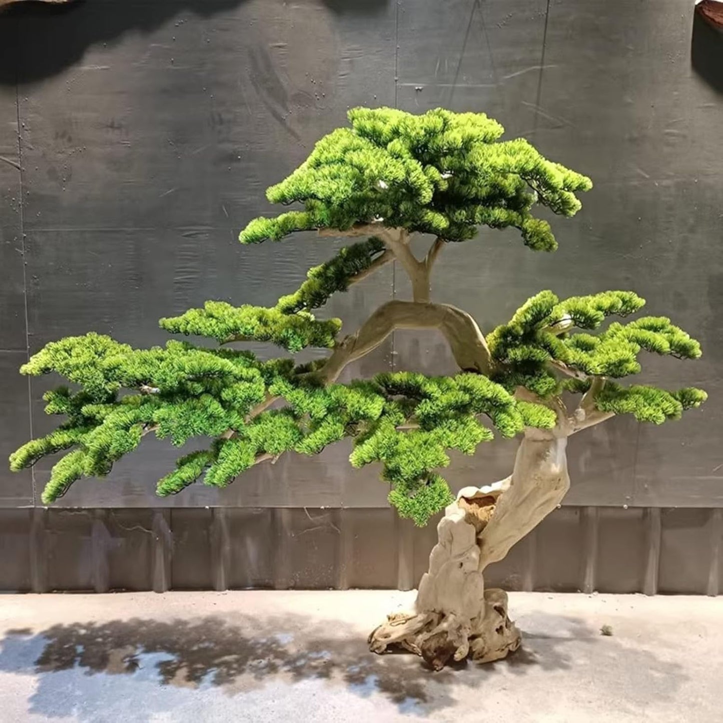 Large Artificial Bonsai Tree - Faux Plants Indoor Podocarpus Tree, Realistic Guest-Greeting Pine Decor for Home Office, Living Room, Farmhouse Zen Decor (5FT)