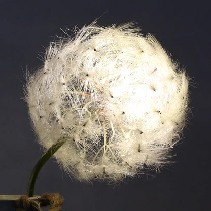 TOPIA Giant Artificial Dandelion Flower Fake Dandelion Decor for Home (2 Pcs) (White)