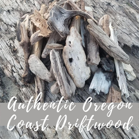 Driftwood for Crafts and Decor, Wedding Centerpiece, Vase Filler, Table Decoration, Beach Cottage, Boho, Rustic, Made in The USA, 12 Oz, 1 to 7 Inches Long, Custom by Request