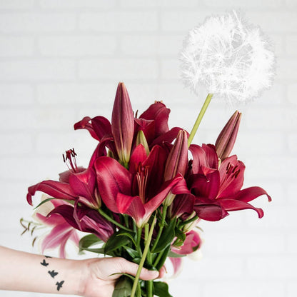 Simulated Dandelion Artificial Flowers 27.55In Faux Dried Flower Vase Filler Fake Dandelion for Indoor Outdoor Home Decor Wedding Party Centerpiece