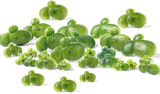 36 Pack Artificial Mini Duckweed with Root, Artificial Floating Plant Plastic Aquarium Simulation Floating Plants for Aquarium Tank Decor