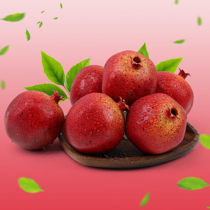 6pcs Lifelike Artificial Avocado Kitchen Decoration Fake Faux Fruit Home Cabinet House Ornament Photography Props Model Weddings Party Thanksgiving Festival Decor
