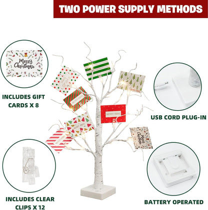 Lighted Birch Tree Christmas Decorations for Home, White Birch Tree with Lights, 24 LED Lighted Mini Money Tree Twig Tree Battery Operated with Timer, Indoor Table Centerpiece Decor (2FT)