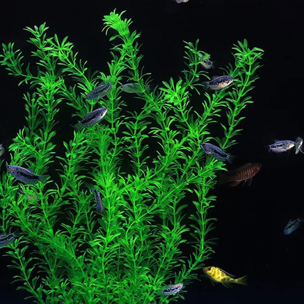 2 pcs Aquarium Decor Plastic Plants Extra Large 21 Inches Artificial Fish Tank Plants Tall Fish Tank Decorations Artificial Green Water Plants (Green)