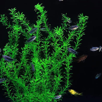 2 pcs Aquarium Decor Plastic Plants Extra Large 21 Inches Artificial Fish Tank Plants Tall Fish Tank Decorations Artificial Green Water Plants (Green)