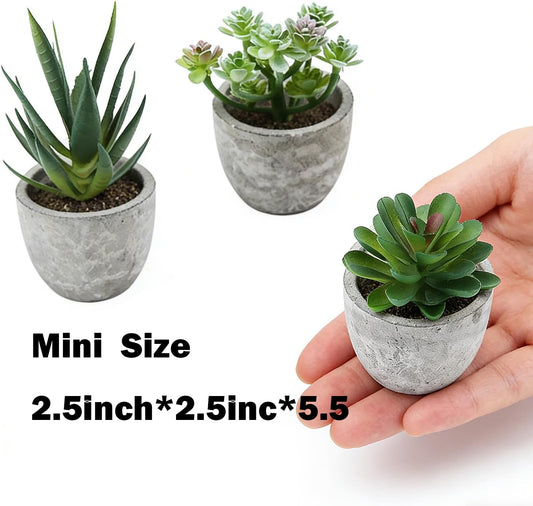 Mini 4 Succulents Plants Artificial in Pots Fake Plants for Bedroom Aesthetic Living Room Shelf Bathroom Decor Office Desk Accessories