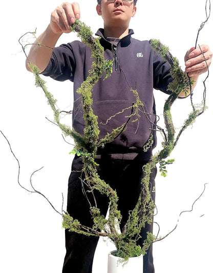 43 inches Moss Twig Vines Artificial Trees Branches Jungle Climber Fake Greenery Twigs Trunk with Greenery for Home Decor Garden Landscape Hanging Reptile Habitat Decor (Green - Pack of 4)