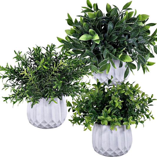 3 Pcs Faux Potted Plants Set - Artificial Eucalyptus, Rosemary, Boxwood Greenery in Small White Geometric Planters for Indoor Outdoor Desk Table Centerpiece Shelf Windowsill Home Office Decor