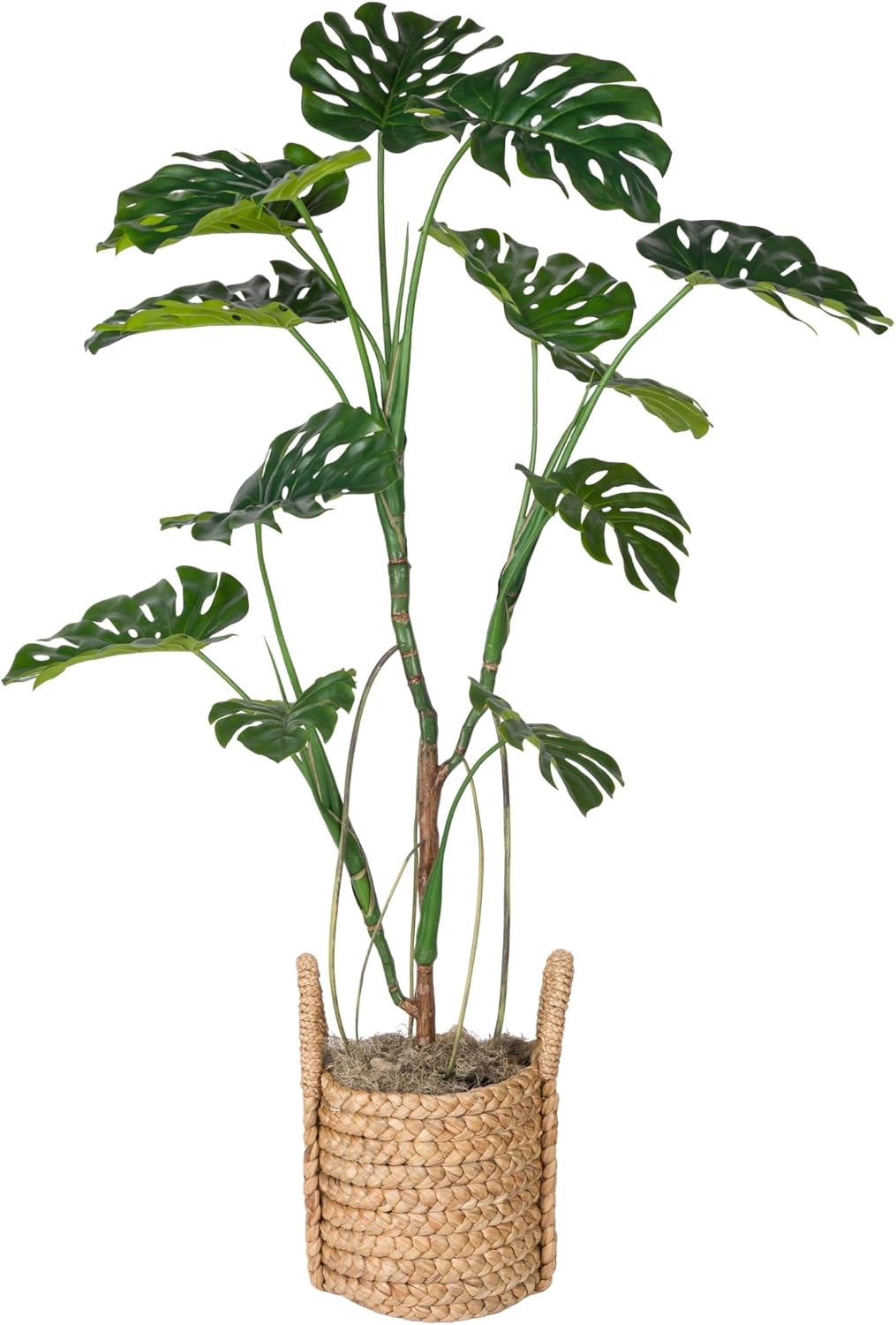 7ft Premium Artificial Japanese Maple Tree