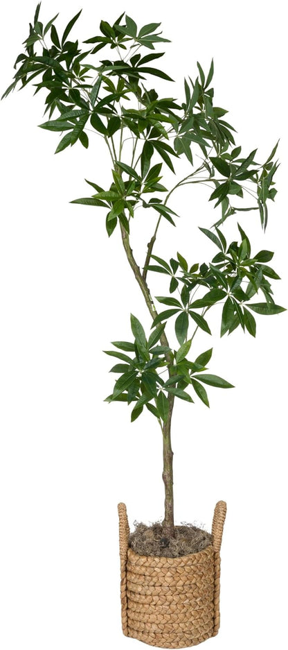7ft Premium Artificial Japanese Maple Tree