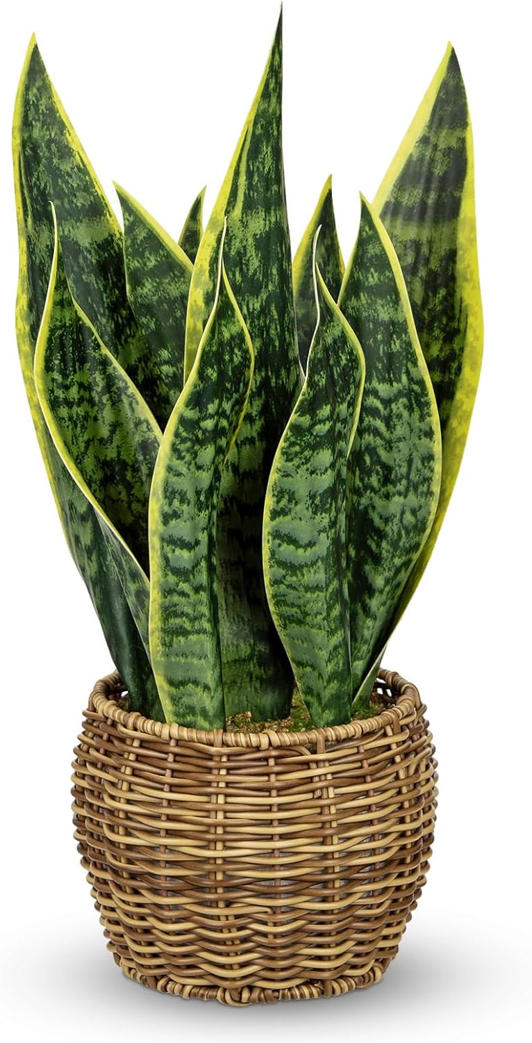 Artificial Snake Plant in Woven Basket 17" Faux Sansevieria Trifasciata Plants Large Fake Snake Plants Potted for Home Office Room Farmhouse Indoor Decor Housewarming Gifts