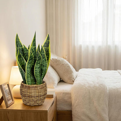 Artificial Snake Plant in Woven Basket 17" Faux Sansevieria Trifasciata Plants Large Fake Snake Plants Potted for Home Office Room Farmhouse Indoor Decor Housewarming Gifts