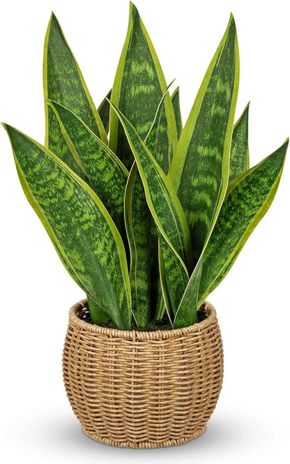 Artificial Snake Plant in Woven Basket 17" Faux Sansevieria Trifasciata Plants Large Fake Snake Plants Potted for Home Office Room Farmhouse Indoor Decor Housewarming Gifts