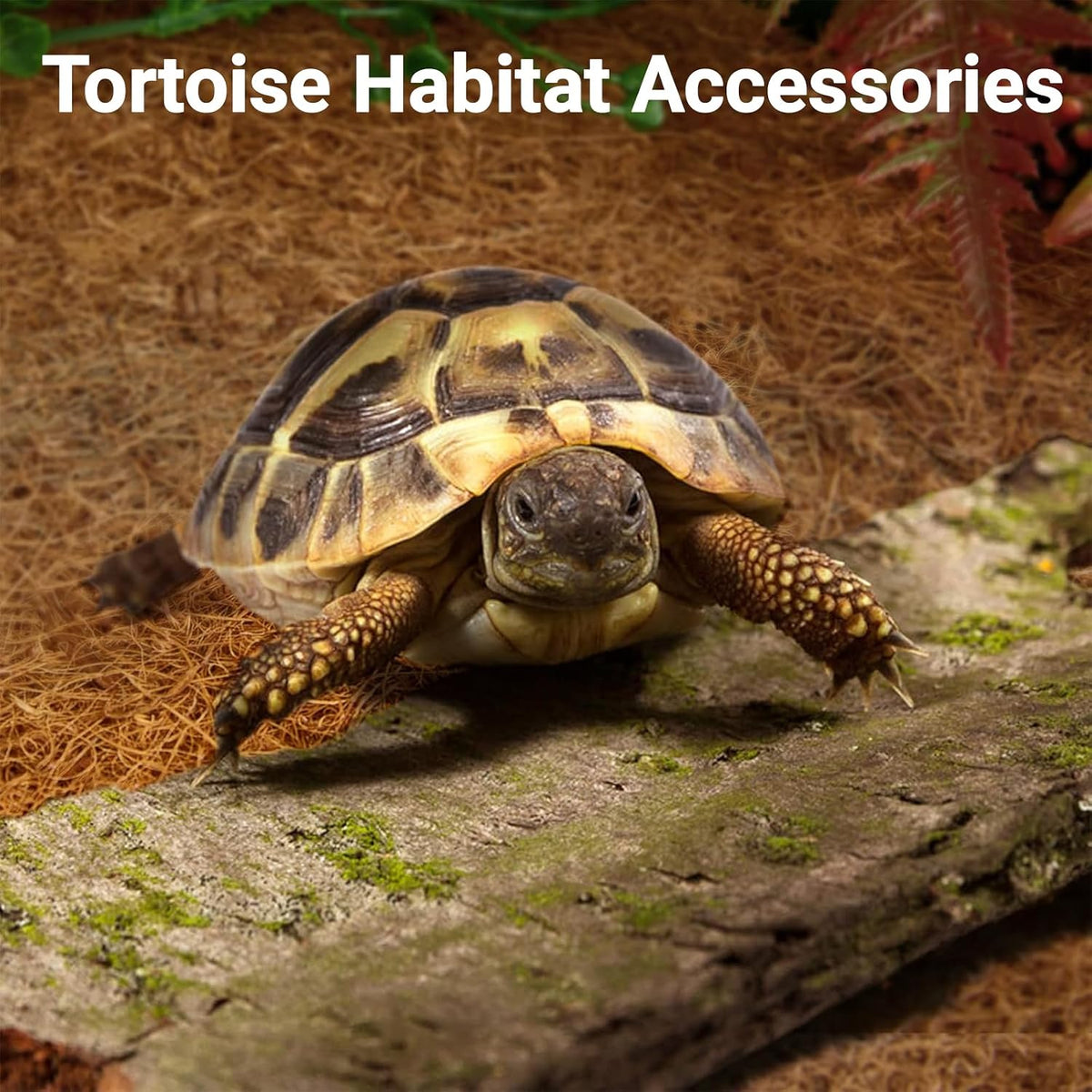 Reptile Carpet 12x12 Inch Coconut Fiber Mat for Tank Bedding