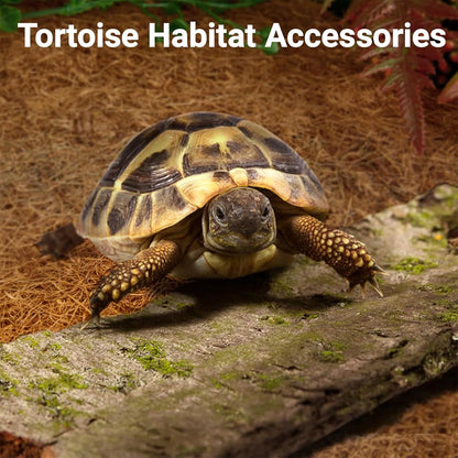 Reptile Carpet 12x12 Inch Coconut Fiber Mat for Tank Bedding