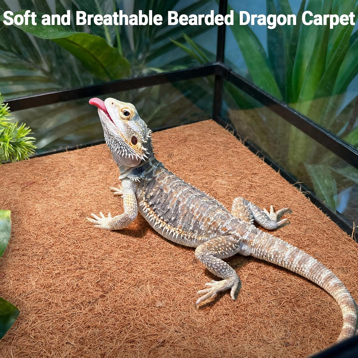 Reptile Carpet 12x12 Inch Coconut Fiber Mat for Tank Bedding