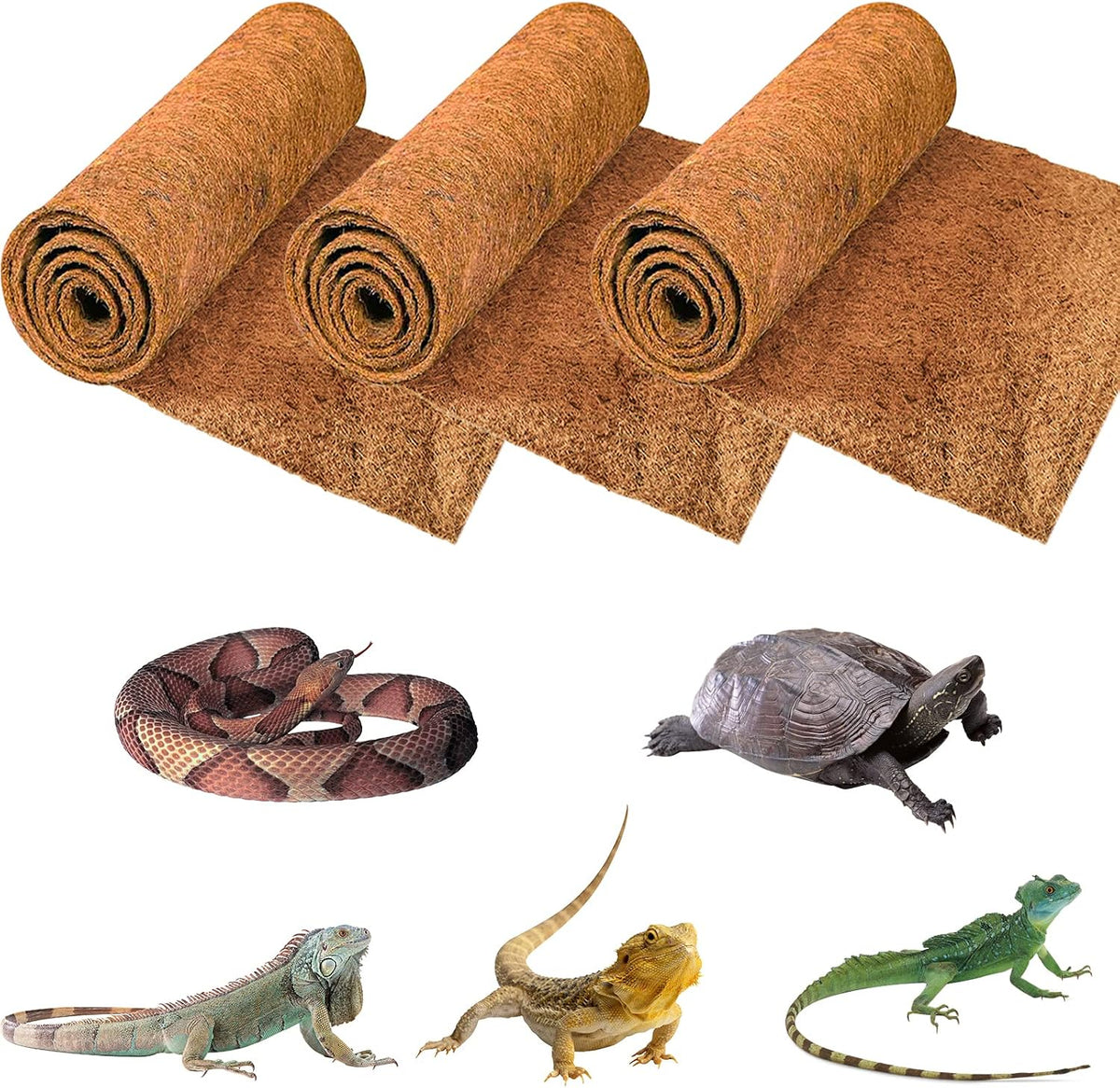 Reptile Carpet 12x12 Inch Coconut Fiber Mat for Tank Bedding