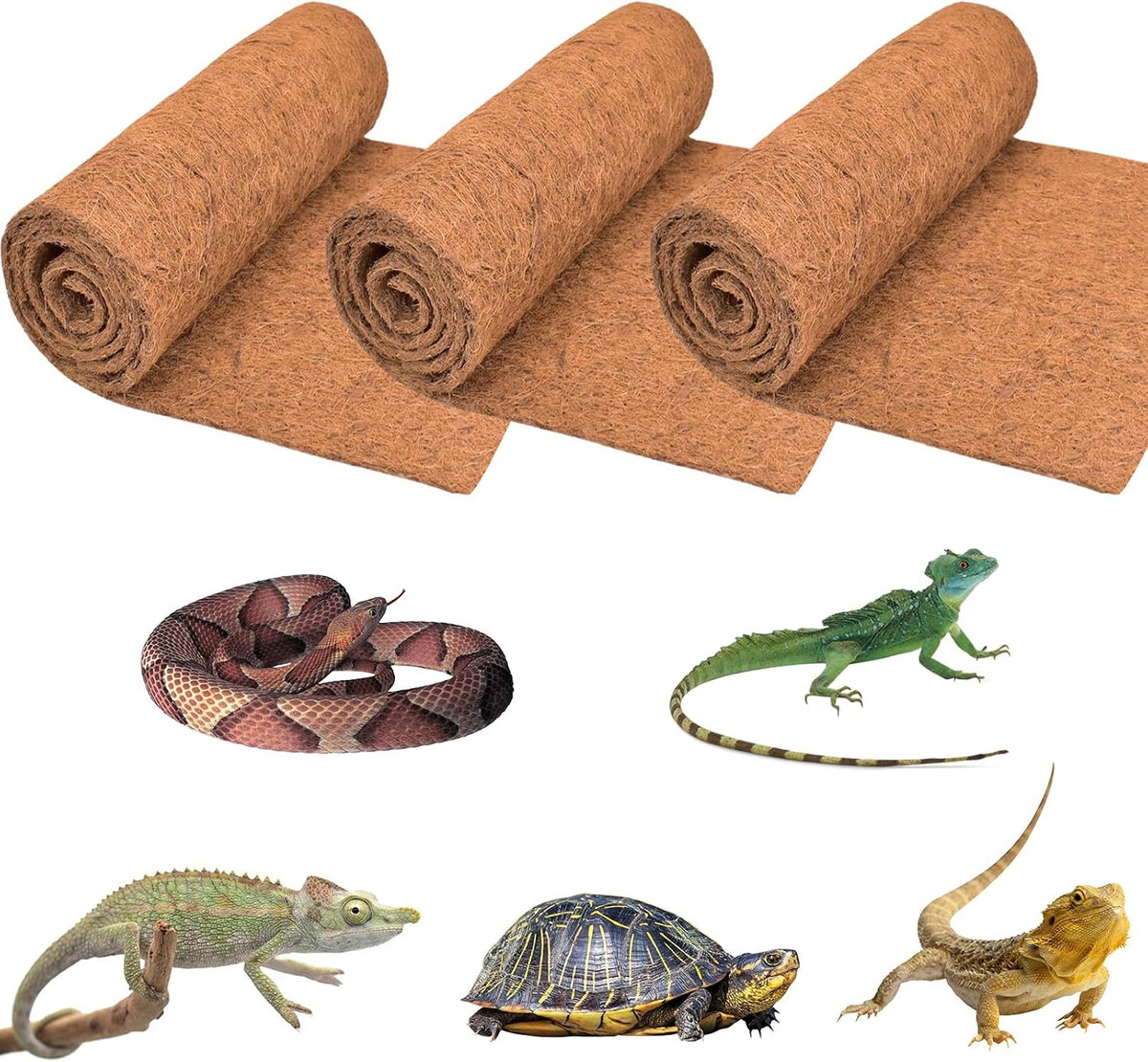 Reptile Carpet 12x12 Inch Coconut Fiber Mat for Tank Bedding