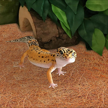 Reptile Carpet 12x12 Inch Coconut Fiber Mat for Tank Bedding