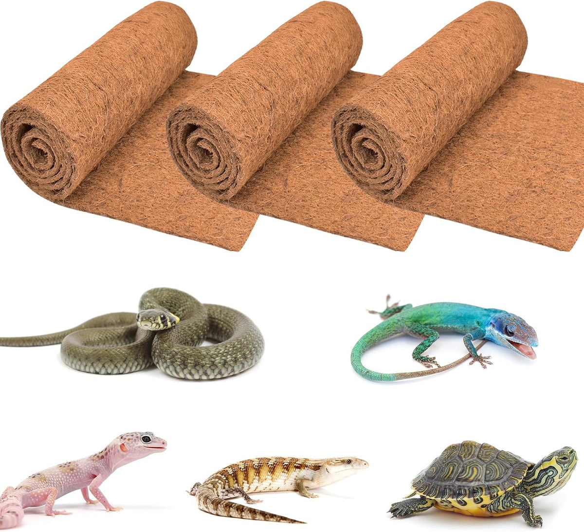 Reptile Carpet 12x12 Inch Coconut Fiber Mat for Tank Bedding