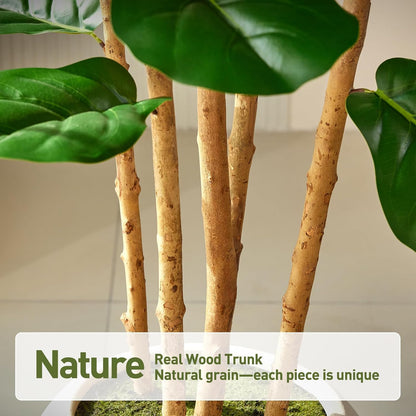 7ft Artificial Fiddle Leaf Fig Tree, 4 Real Wood Trunks