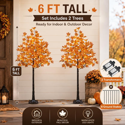 6 Ft Lighted Maple Trees, 240 Warm White LEDs, Fall Decor