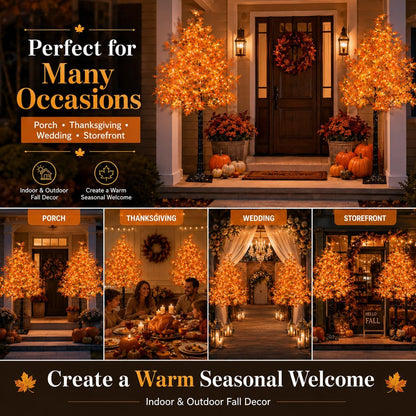 6 Ft Lighted Maple Trees, 240 Warm White LEDs, Fall Decor