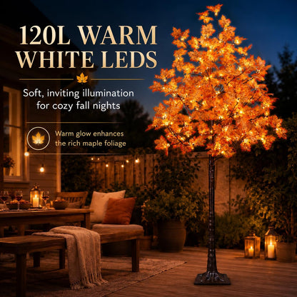 6 Ft Lighted Maple Trees, 240 Warm White LEDs, Fall Decor