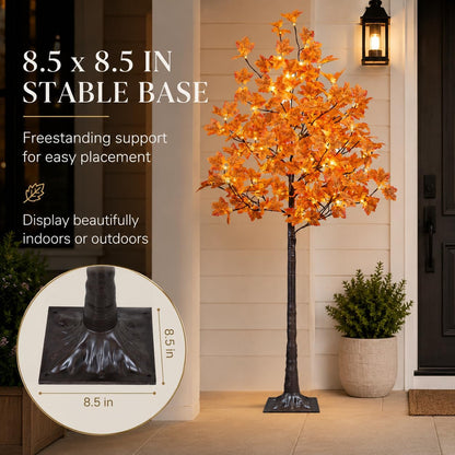 6 Ft Lighted Maple Trees, 240 Warm White LEDs, Fall Decor