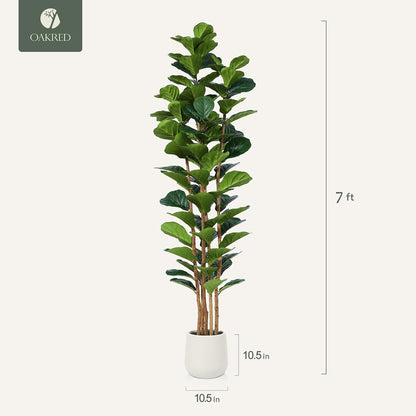 7FT Artificial Fiddle Leaf Fig Tree with White Planter for Home Decor