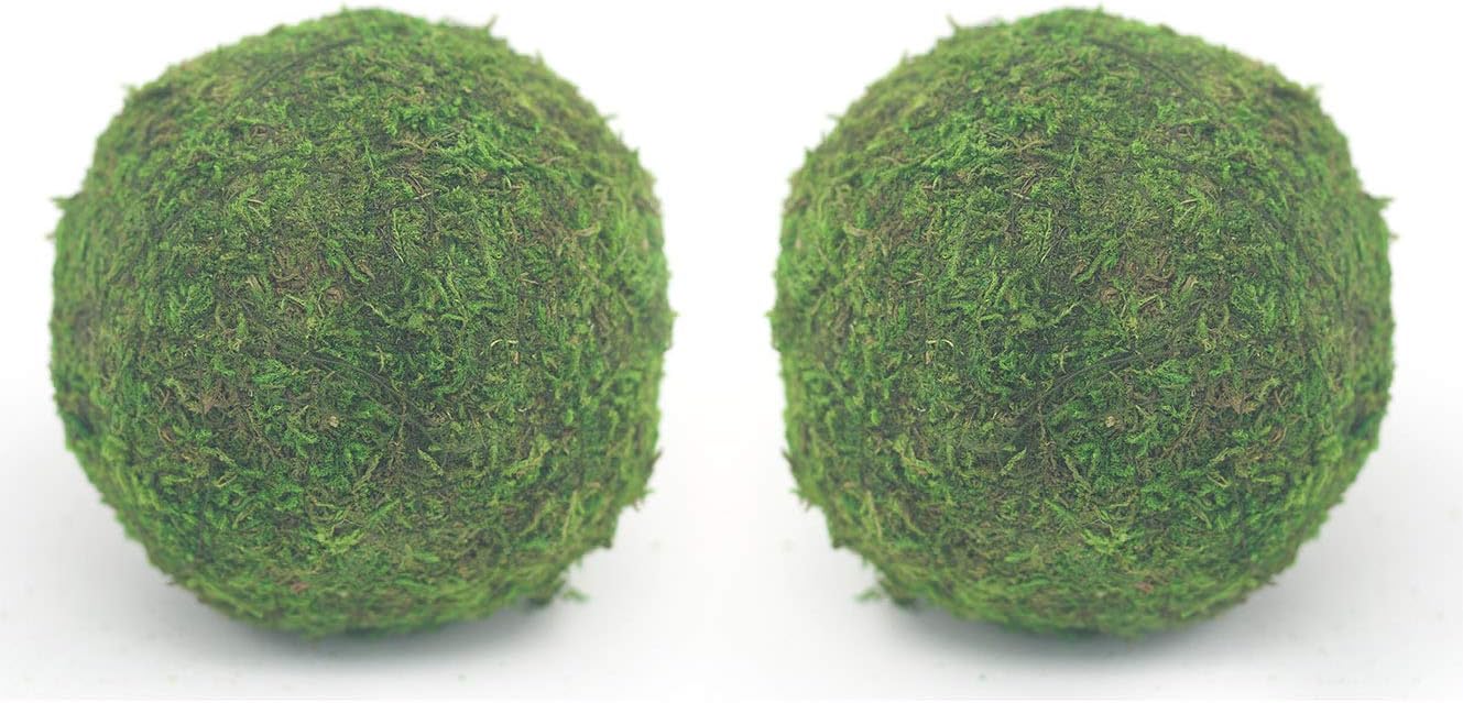 Handmade Natural Green Plant Moss Balls Decorative for Home Party Display Decor Props (2 in)