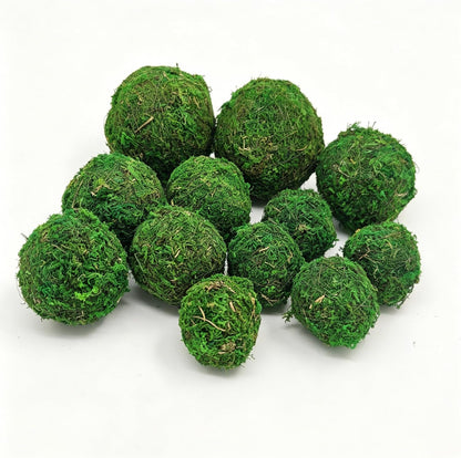 Handmade Natural Green Plant Moss Balls Decorative for Home Party Display Decor Props (2 in)