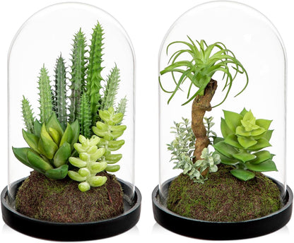 Artificial Succulent in Cylindrical Glass Vase Small Fake Cactus Plant with Modern Glass Terrarium Faux Plants Indoor Gift for Plant Lover Decor for Home Office Table Desk Shelf